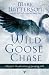 Wild Goose Chase: Reclaim the Adventure of Pursuing God