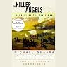 The Killer Angels: A Novel of the Civil War