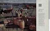 The Face of America: Autumn's Bounty. In an 