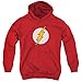 DC Comics Flash Logo Big Boys Youth Pull-Over Hoodie