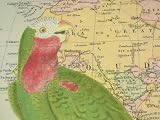 Cavallini Colorful Parrot on Map of Africa Gift Wrap Decoupage paper,vintage look poster or print ~ 3 sheets, 20 x 28 inches each