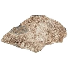 American Educational Crystalline Breccia Sedimentary Rock, 1Kg