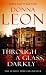 Through a Glass Darkly