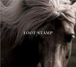 ����(��������)(DVD�t)