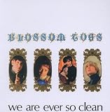 We Are Ever So Clean