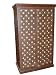 Old Door Brass Armoire Rustic Hand Carved Indian Furniture Cabinet 60x30