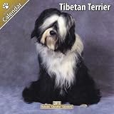 Kalender 2011 Tibet-Terrier - Tibetan Terrier