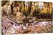 Hams, jamon and cheese stall - 20 Inch Canvas Print (51 cm) by Robert Harding