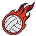 Flaming Volleyball Patch Embroidered Iron-On Applique Beach Sports