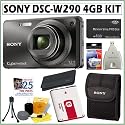 Sony Cyber-shot DSC-W290/B 12.1 MP Digital Camera in Black + Deluxe 4GB Accessory Kit