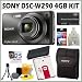 Sony Cyber-shot DSC-W290/B 12.1 MP Digital Camera in Black + Deluxe 4GB Accessory Kit