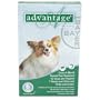 Advantage - Green Box for Dogs 0-10 pounds - 6 pack