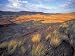 Painted Hills Unit, John Day Fossil Beds National Monument, Oregon, USA Photographic Poster Print by Brent Bergherm, 24x32