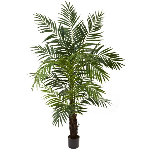 Affordable Nearly Natural 5408 Areca Palm Tree 6 Feet Green Canonigozdfs