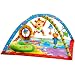 East Coast Gymini Mat Monkey Island