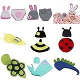 動物のカメちゃん