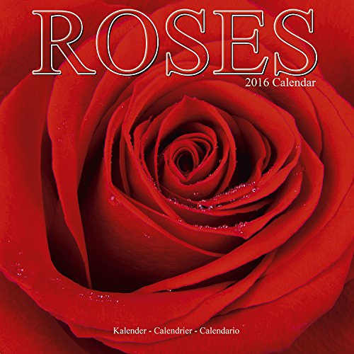 Roses Calendar - 2016 Wall calendars - Garden Calendars - Flower Calendar - Monthly Wall Calendar by Avonside
