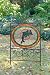 Dolphins - Yard Sign