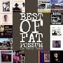 The Best Of Fat Possum: The Early Years