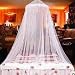 Elegant Lace Bed Canopy Mosquito Net White