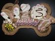 Spring Puppy - Dog Gift Basket - Edible Basket with Organic Dog Treats - Heidi's Homemade