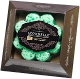 Spongelle 1 Daisy Shaped with Hot Spice Ginger Infusion, 2.5-Ounce Boxes (Pack of 2)