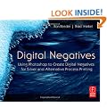 Digital Negatives: Using Photoshop to Create Digital Negatives for Silver and Alternative Process Printing