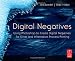 Digital Negatives: Using Photoshop to Create Digital Negatives for Silver and Alternative Process Printing