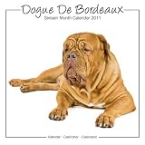 Kalender 2011 Dogue De Bordeaux - Studio