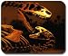 Fight Pads - Dino Fight Mouse Pad