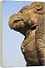 Bhaktapur, Nepal - 20 Inch Canvas Print (51cm) by Robert Harding