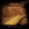 Image of album by Pat Metheny