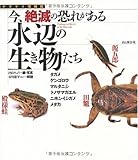 クリエーター情報なし