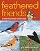 Feathered Friends: 18 Paper-Pieced Blocks for Bird Lovers