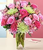 Compare Prices of Deluxe All the Frills by Proflowers