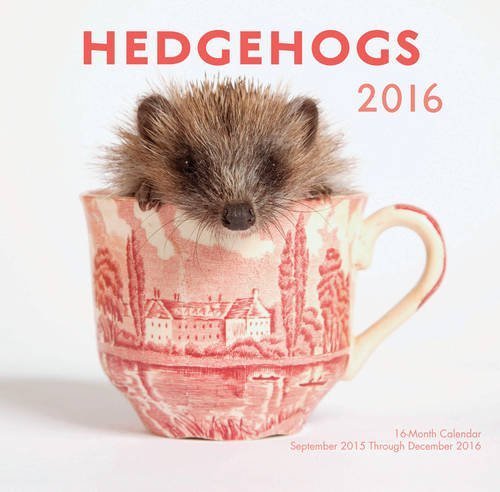Hedgehogs 2016 Mini: 16-Month Calendar September 2015 through December 2016 by Editors of Rock Point (2015-08-31)