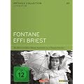 Fontane Effi Briest - Arthaus Collection Literatur