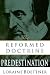 Reformed Doctrine of Predestination