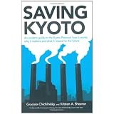 Saving Kyoto
