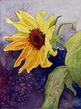 Single Sunflower giclee print of watercolor by Susan Avis Murphy