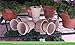 Plant Germination Garden Pots - Bonus Planting Seeds Guide - Biodegradable Peat Seed Starter Pots