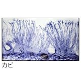 アーテック 植物組織プレパラートB 94738