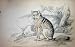 JARDINE c1839 WHITE-BARRED AGUARA FOX ANIMAL COLOUR