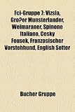 Fci-Gruppe 7: Vizsla, Grosser Munsterlander, Weimaraner, Spinone Italiano, Esky Fousek, Franzosischer Vorstehhund, English Setter