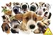   - Hanadeka Dog - Dogs Puzzle 1000 Pieces