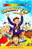 Harry Fly and the big jump