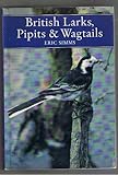 British larks, pipits and wagtails