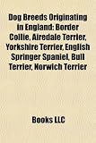 Dog Breeds Originating in England: Border Collie, Airedale Terrier, Yorkshire Terrier, English Springer Spaniel, Bull Terrier, Norwich Terrier