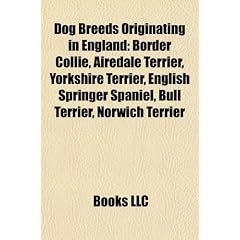 Dog Breeds Originating in England: Border Collie, Airedale Terrier, Yorkshire Terrier, English Springer Spaniel, Bull Terrier, Norwich Terrier