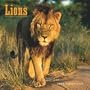Lions 2009 Square Wall Calendar (Multilingual Edition)